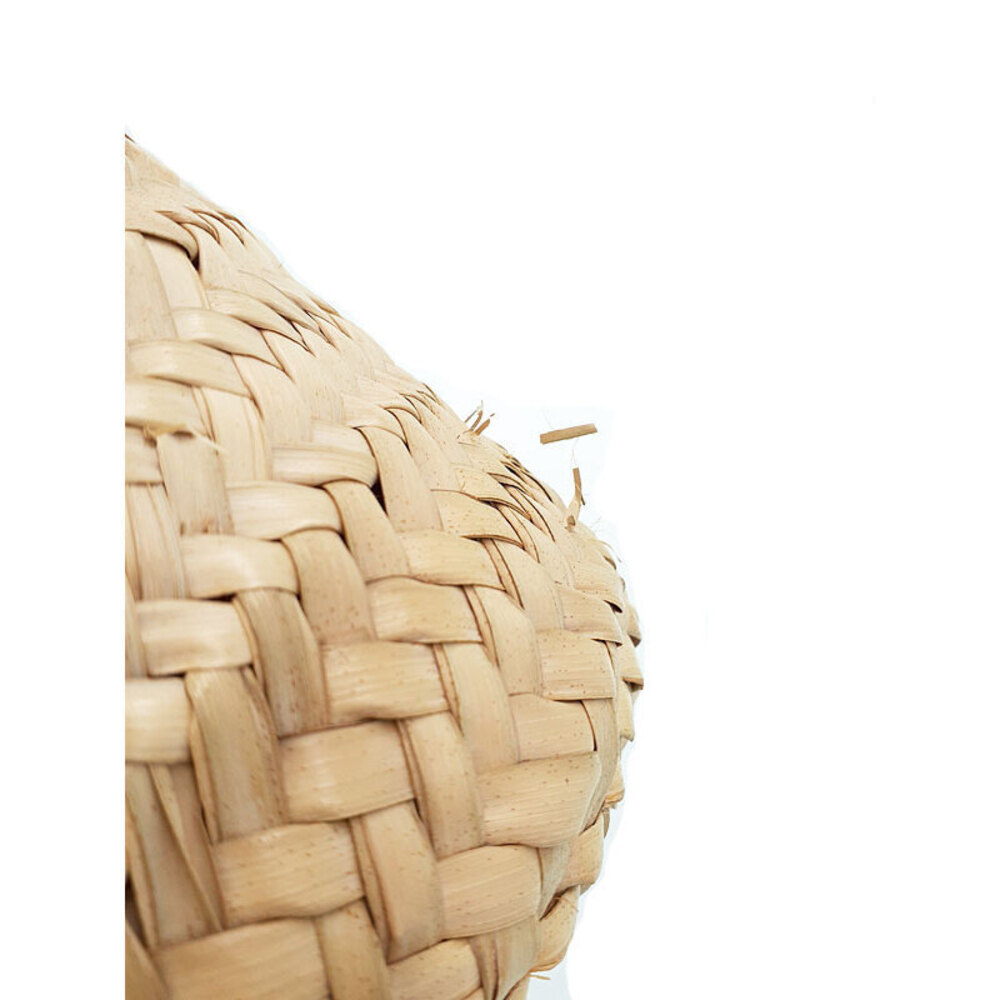 Celine Classic Bag Teen Panier Triomphe - Picture 5 of 9